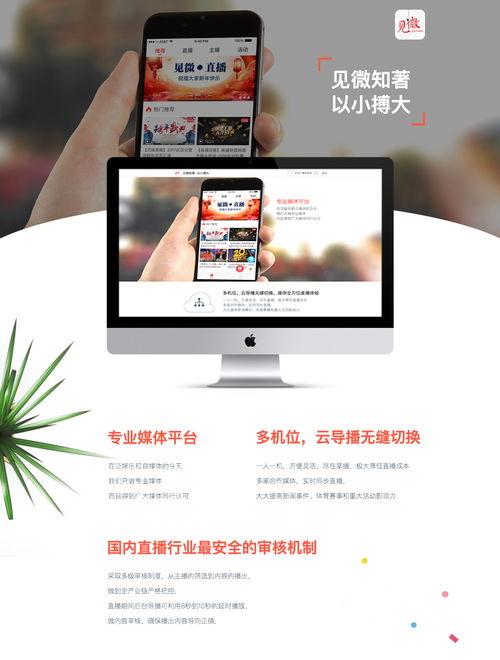 网站设计